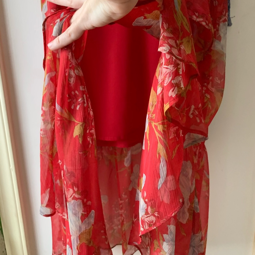 Beautiful Dress - Picture 4 of 8